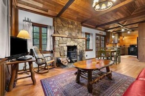 TV, fireplace, books