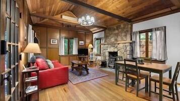 Televisión, chimenea y libros