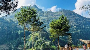 A swimming pool with a view of mountains, surrounded by trees. - Co De Chai Herbal Retreat Bac Ha (Bac Ha)