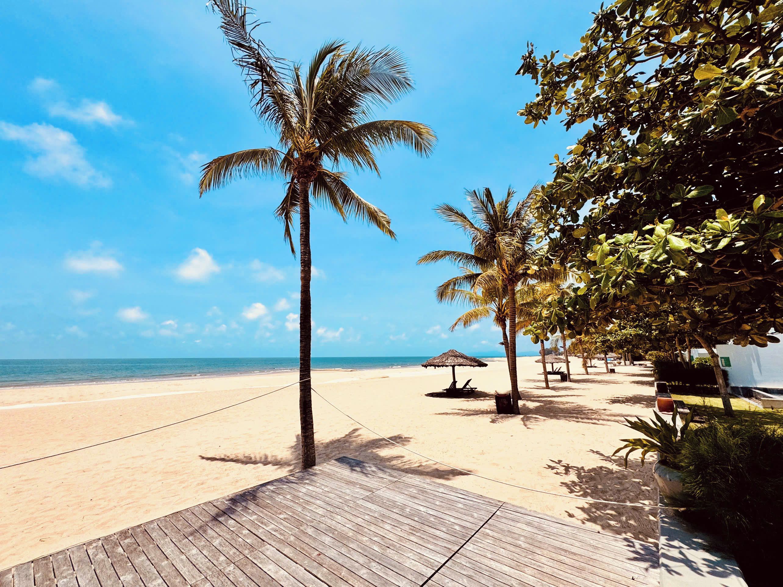 A wooden deck leading to a beach with palm trees and a clear blue sky.