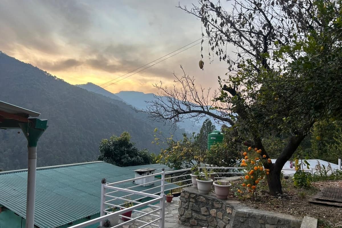 Una terraza con plantas en macetas, un muro de piedra y vistas a montañas.