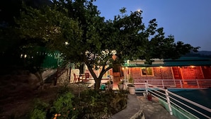 Ein Innenhof mit Baum, Pool und einem Gebäude mit roter Beleuchtung.
