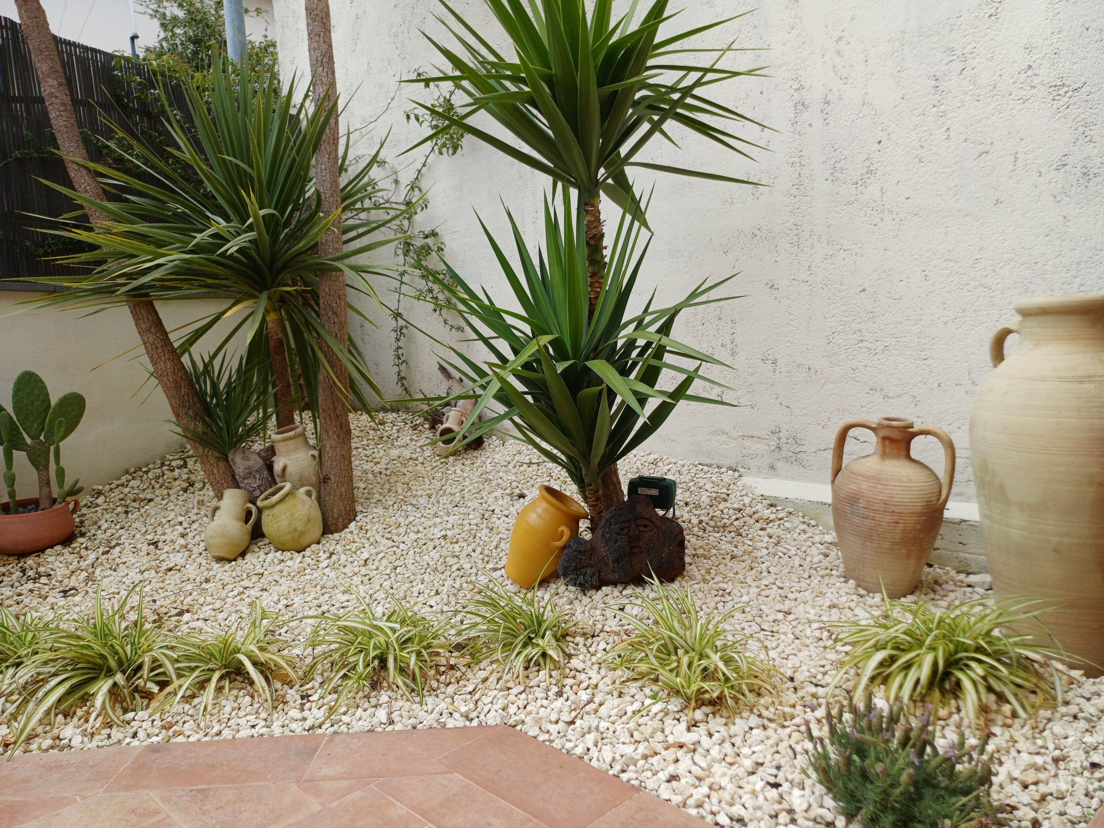 Un jardin agrémenté de diverses plantes et de pots décoratifs.