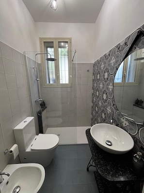 Ducha, secador de pelo, bidé y toallas