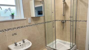 A bathroom with a glass-enclosed shower, a sink, and a window with an orchid plant.