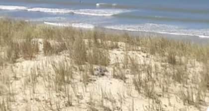 Apartment 50 m from the beach