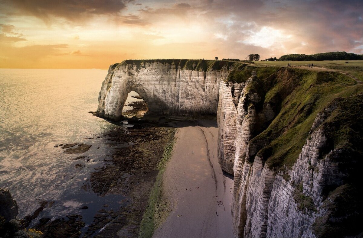 Image de profil de l’hôte