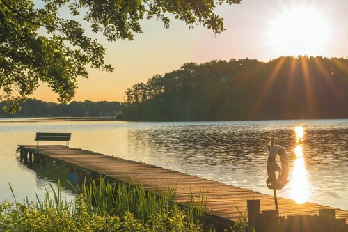 Vacation home Seebrise with sauna, fireplace & rowing boat and beach directly on the Dümmer See.