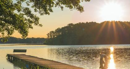 Vacation home Seebrise with sauna, fireplace & rowing boat and beach directly on the Dümmer See.