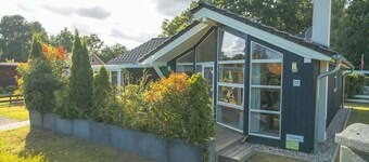 Vacation home Seebrise with sauna, fireplace & rowing boat and beach directly on the Dümmer See.