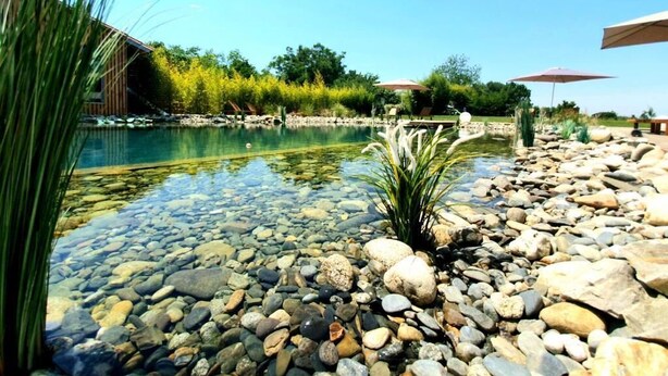 A clear outdoor pool area with a rocky shoreline, surrounded by greenery and umbrellas. - les granges de jules (Lafitte-Vigordanne)