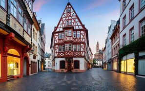 Exterior - Apartment 'Studio Wohnung Mainz' with Wi-Fi and Air Conditioning (Mainz)