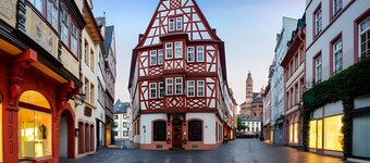 Apartment 'Studio Wohnung Mainz' with Wi-Fi and Air Conditioning