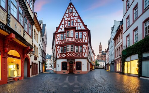 Apartment 'Studio Wohnung Mainz' with Wi-Fi and Air Conditioning