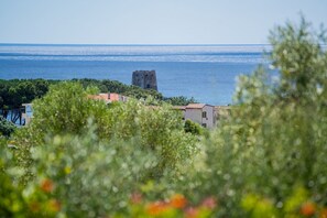 Eine Küstenansicht mit einem historischen Turm, Gebäuden und üppiger Vegetation.