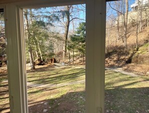 Interior - World Cup Special: Spacious home in secluded woods close to events and NYC. (Watchung)