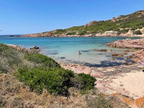 Camastros y toallas de playa 