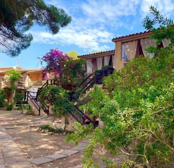 Een binnenplaats met een stenen pad dat leidt naar een trap, omringd door weelderige begroeiing en bloeiende planten.