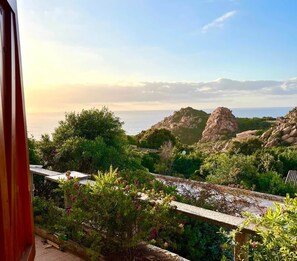Property grounds - Domus Ninni - Charm of Gallura (Costa Paradiso)