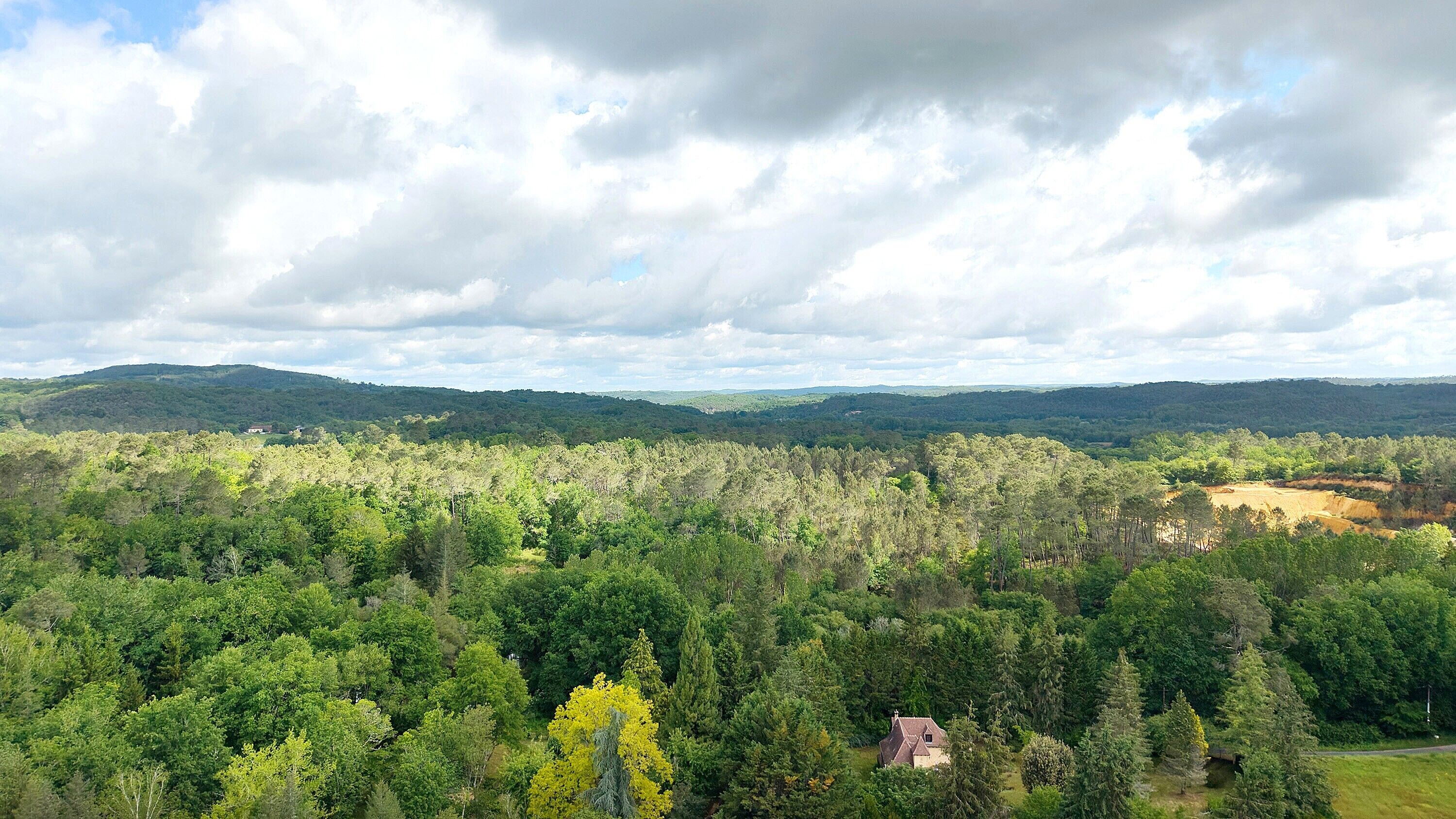 Ett skogslandskap med ett hus omgivet av träd.