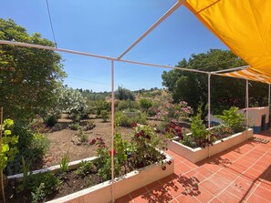 Terrain de l’hébergement 