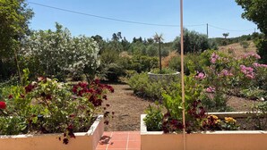 A garden with various flowering plants and trees, a paved pathway, and a clear sky.