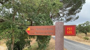 A directional signpost with distance markers and destination names.