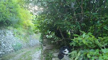 Enceinte de lâhĂ©bergement