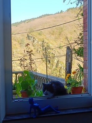 A window with a view of a hillside, a potted plant, and a blue decorative item on the sill. - Guest Room “Montagne Noire, Chez 'Pinceau'” – Mountain View, Shared Terrace, Wi-Fi (Lespinassière)