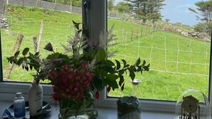 A kitchen window with a view of a grassy area and trees. - Jerry's Cottage, Dingle Penninsula Wild Atlantic Way and Páirc Nasiúnta na Mara  (Co)