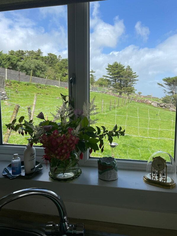A kitchen window with a view of a grassy area and trees. - Jerry's Cottage, Dingle Penninsula Wild Atlantic Way and Páirc Nasiúnta na Mara (Co)