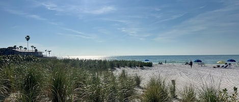 On the beach
