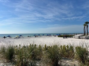 Een strand met parasols, stoelen en palmbomen.