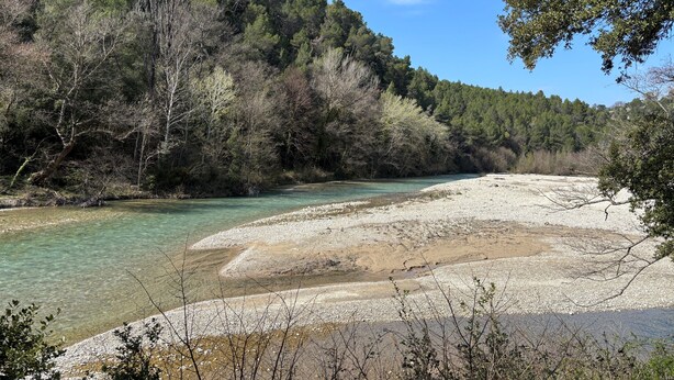 Ein Fluss mit klarem Wasser, umgeben von Bäumen und einem steinigen Ufer.