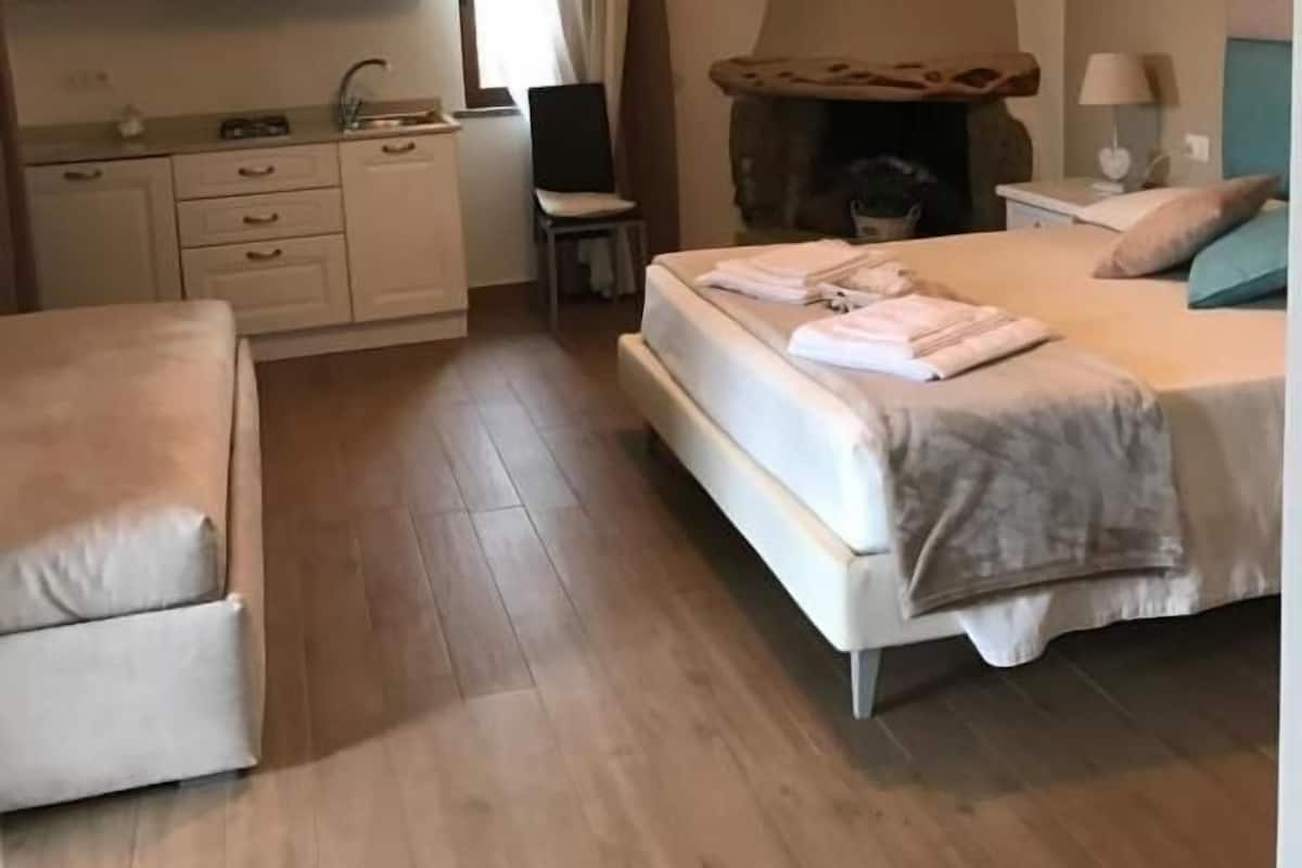A bedroom with a bed, a sofa, a small desk, and a kitchenette.