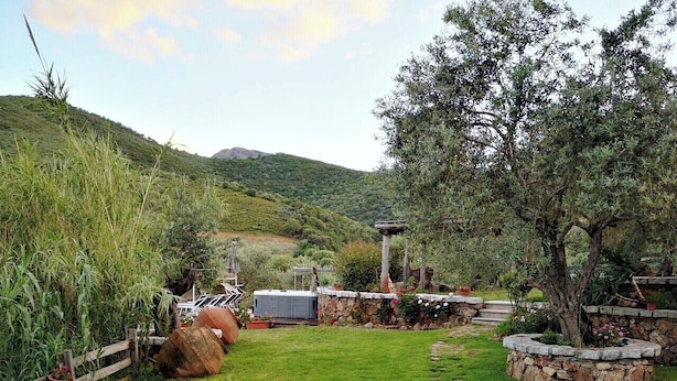 A well-maintained garden with a stone pathway, a pergola, and a variety of plants and trees. - IL GIARDINO DI DANIELA APARTMENTS (San Teodoro)