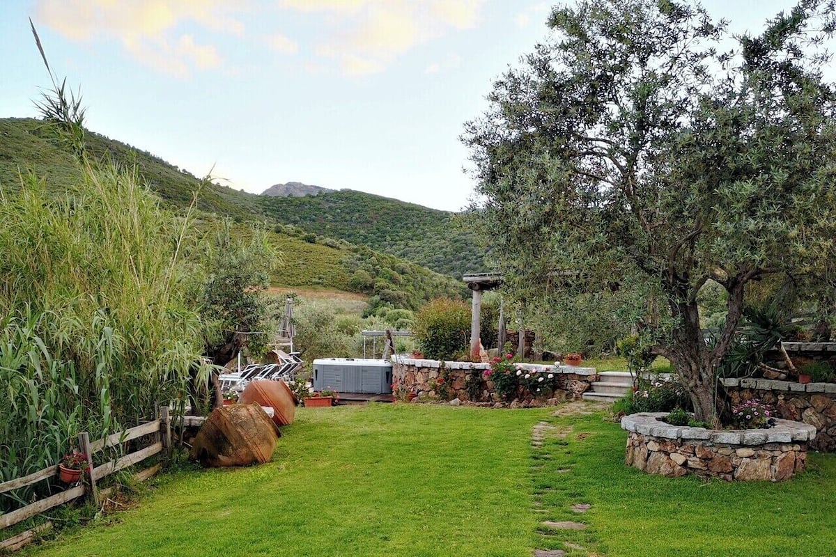 A well-maintained garden with a stone pathway, a pergola, and a variety of plants and trees.