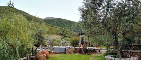 Blackout curtains, free WiFi