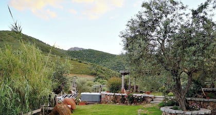 IL GIARDINO DI DANIELA APARTMENTS