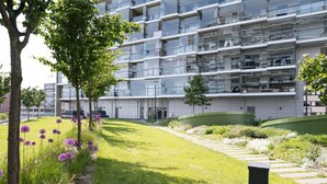 Ein modernes Gebäude mit mehreren Balkonen, einem grünen Innenhof und verschiedenen Pflanzen.