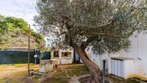 Un arbre dans une cour, avec un bâtiment blanc, un poteau métallique et un banc en béton.