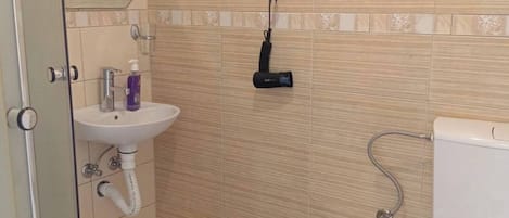 Shower, hair dryer