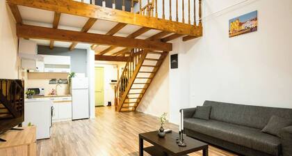 Nest in Middle Olt Town Near Cathedral - Libertății - Iulius Mall