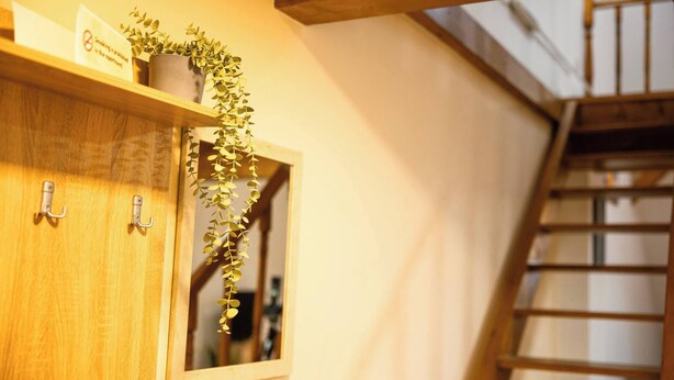 A wooden cabinet with a mirror and a hanging plant. - Urban Stay by Timisoara BnB Ap 2 (Timisoara)