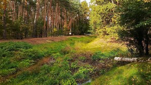 Uma área arborizada com uma trilha de terra, um pequeno riacho e uma mesa para piquenique.