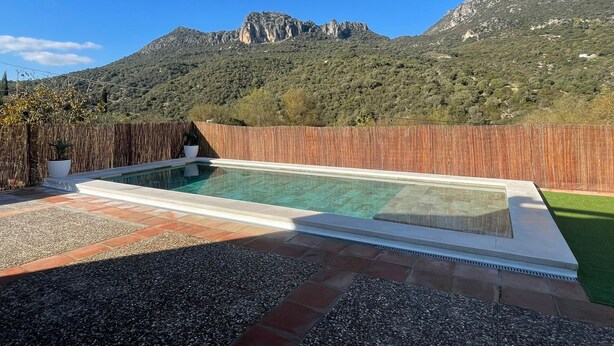 Ein rechteckiger Pool mit einem klaren, blauen Bereich am Beckenrand, umgeben von einem Holzzaun und einer gepflasterten Terrasse.
