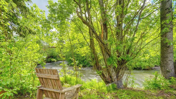 A wooden chair by a river in a forested area. - U-med District Townhome w/ Private Yard + Grill (Anchorage)