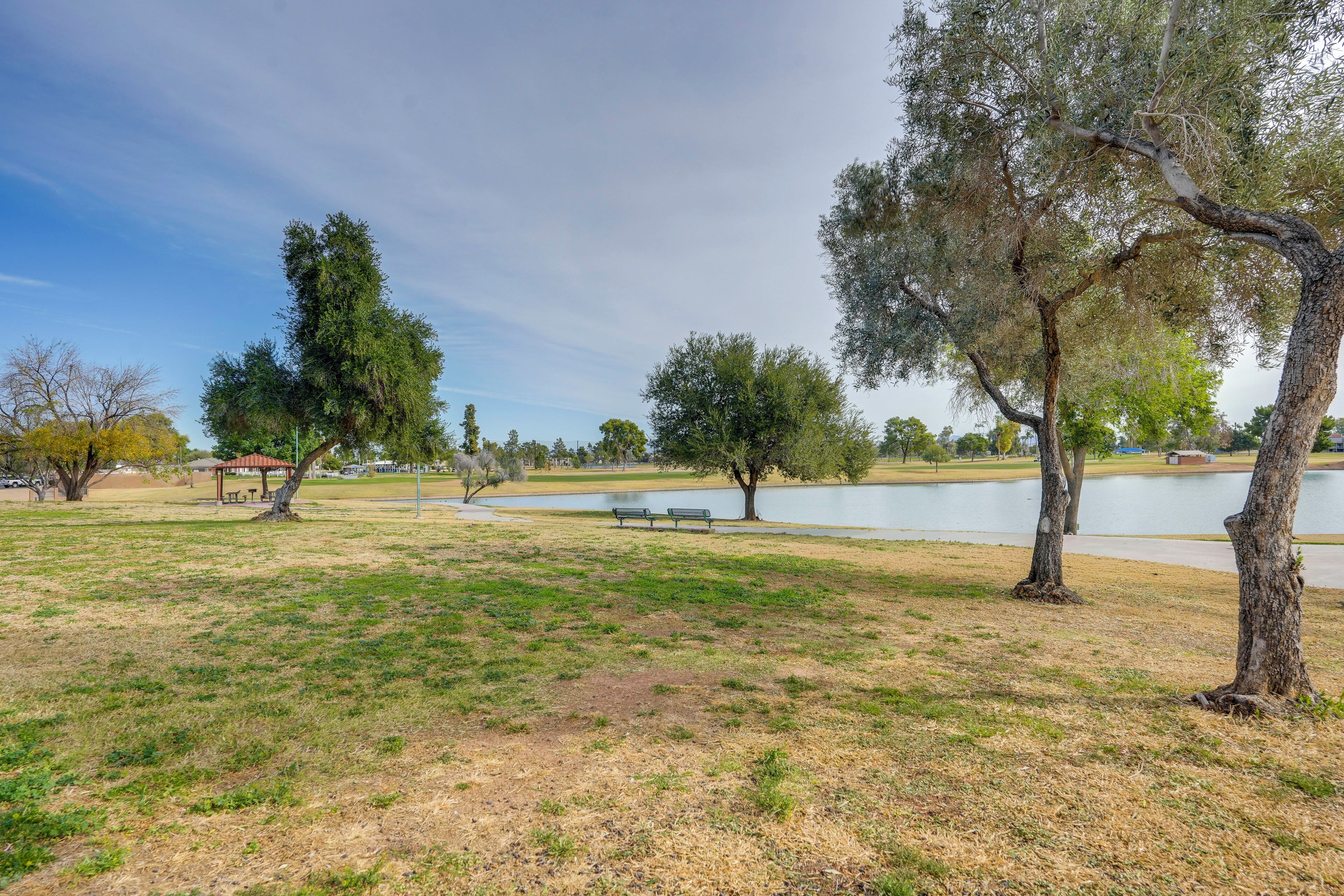 Un parco con un lago, panchine e alberi.