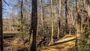Une promenade en bois traverse une zone boisée, avec de grands arbres et un ciel dégagé.
