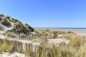 Playa en los alrededores 